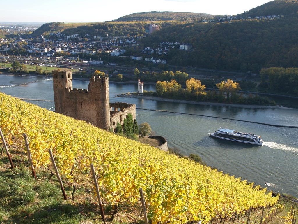 Hotel Lindenwirt Rüdesheim am Rhein Exterior foto
